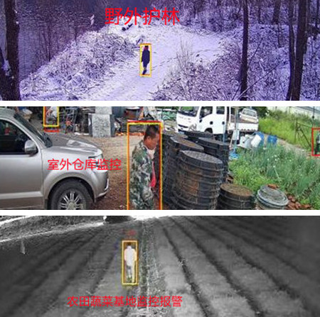 无电无网少人烟的野外，还想装监控系统？这不是空想