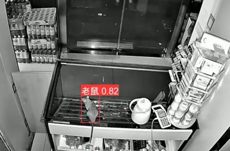 AI智能监控算法推出新算法，老鼠再也无处可逃