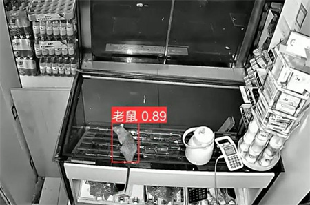 AI视频监控能拍到老鼠？老鼠监控算法说可以