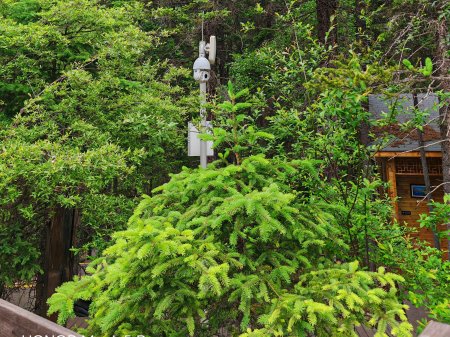 夏季来临，AI视频监控新防下水算法解决管理难题