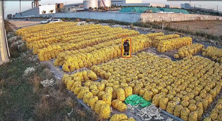  AI智能视频监控：革新安全管理，赋能多领域实际应用
